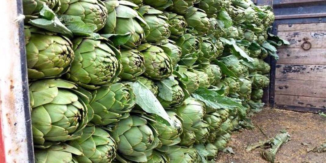 Kilosu değil tanesi 400 TL: 3 ülke kontratlar için sıraya girdi bile 3